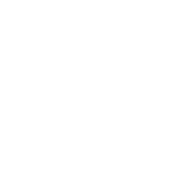 swiss-pro-multiservice-lugano